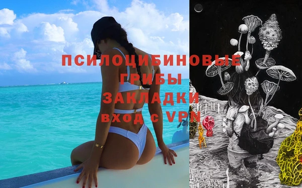 бошки Алексеевка