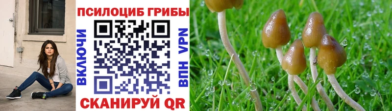 цена наркотик  KRAKEN как войти  Псилоцибиновые грибы Magic Shrooms  Ветлуга 